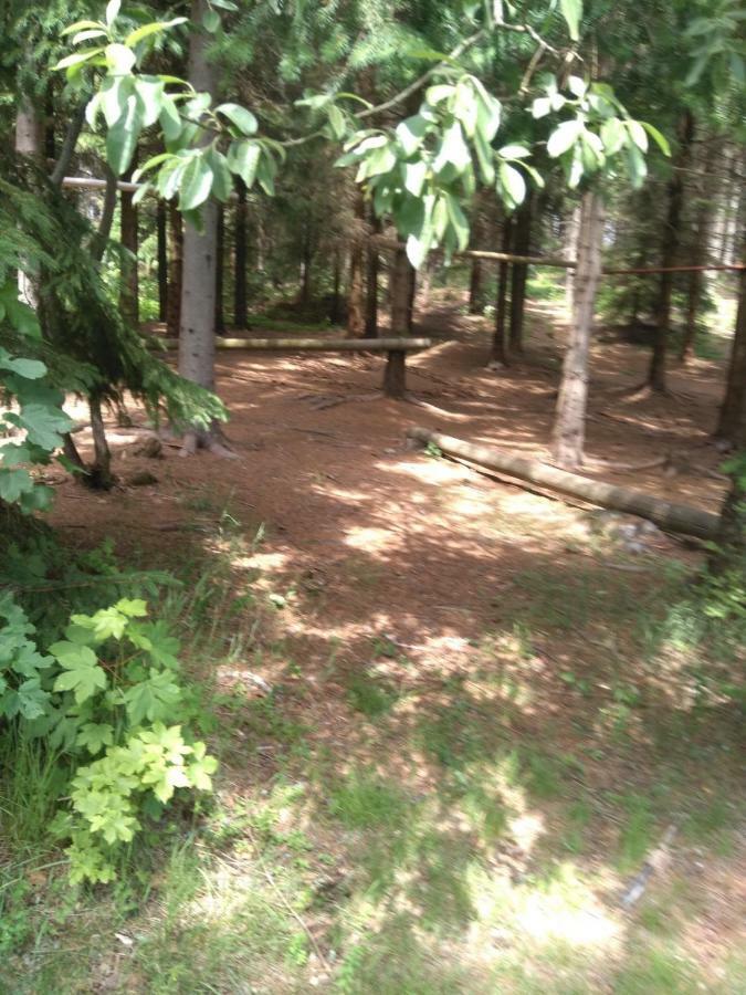 Penzion Borovice Josefŭv Dŭl Dış mekan fotoğraf